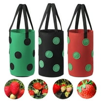 Anvazise 3 Gallon Non-woven Cloth Strawberry Planting Growing Bag Hanging Plant Pot Pouch Black One Size