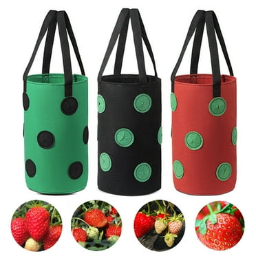 Anvazise 3 Gallon Non-woven Cloth Strawberry Planting Growing Bag Hanging Plant Pot Pouch Black One Size