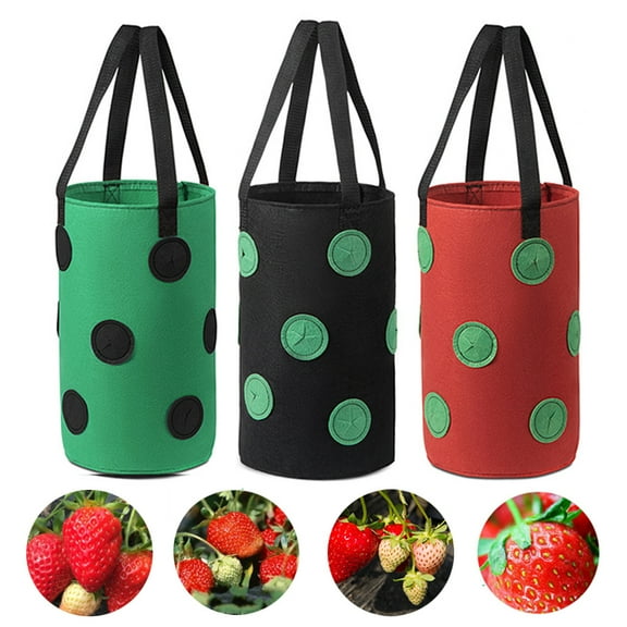 Ludlz 3 Gallon Non-woven Cloth Strawberry Planting Growing Bag Hanging Plant Pot Pouch