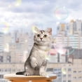 thumbnail image 6 of Milue Pets for Cat Catnip Bubbles Spray Toys About 17ML Non-Toxic Safe Easy to Use Gif, 6 of 9