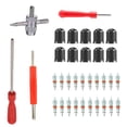 thumbnail image 1 of Speravity 34 unids/set removedor de núcleo de válvula de coche Universal motocicleta bicicleta Scooter herramienta de extracción portátil surtido Vehículos, repuestos y accesorios Mis Speravity  VI016877-00B, 1 of 6