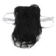 thumbnail image 1 of Pet Wig Pet Messy Hair Headdress to Wear Dress Up Halloween Supplies for Dogs and CatsBlack, 1 of 1