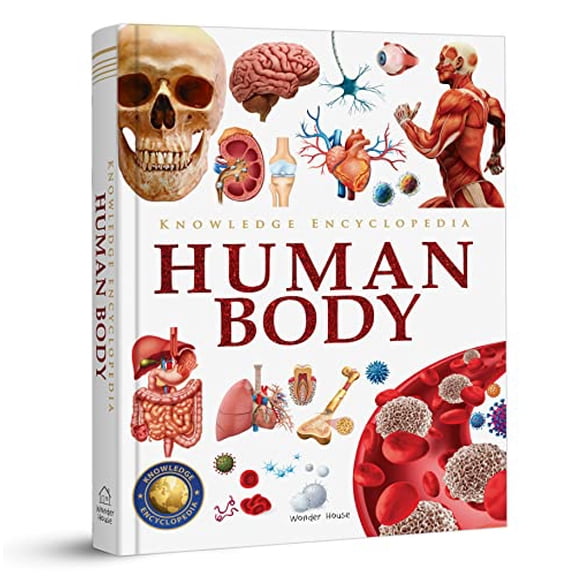 Pre-Owned Knowledge Encyclopedia Human Body, (Hardcover)