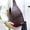 Coffee, variant on Crossbody Bag, Small Travel Purse, Chest Waist Bag, Vegan Leather Fanny Pack, PU Leather Crossbody Bags, Non Theft Casual Chest Bag, Sling Bags for Crossbody Small Leather Backpack,
