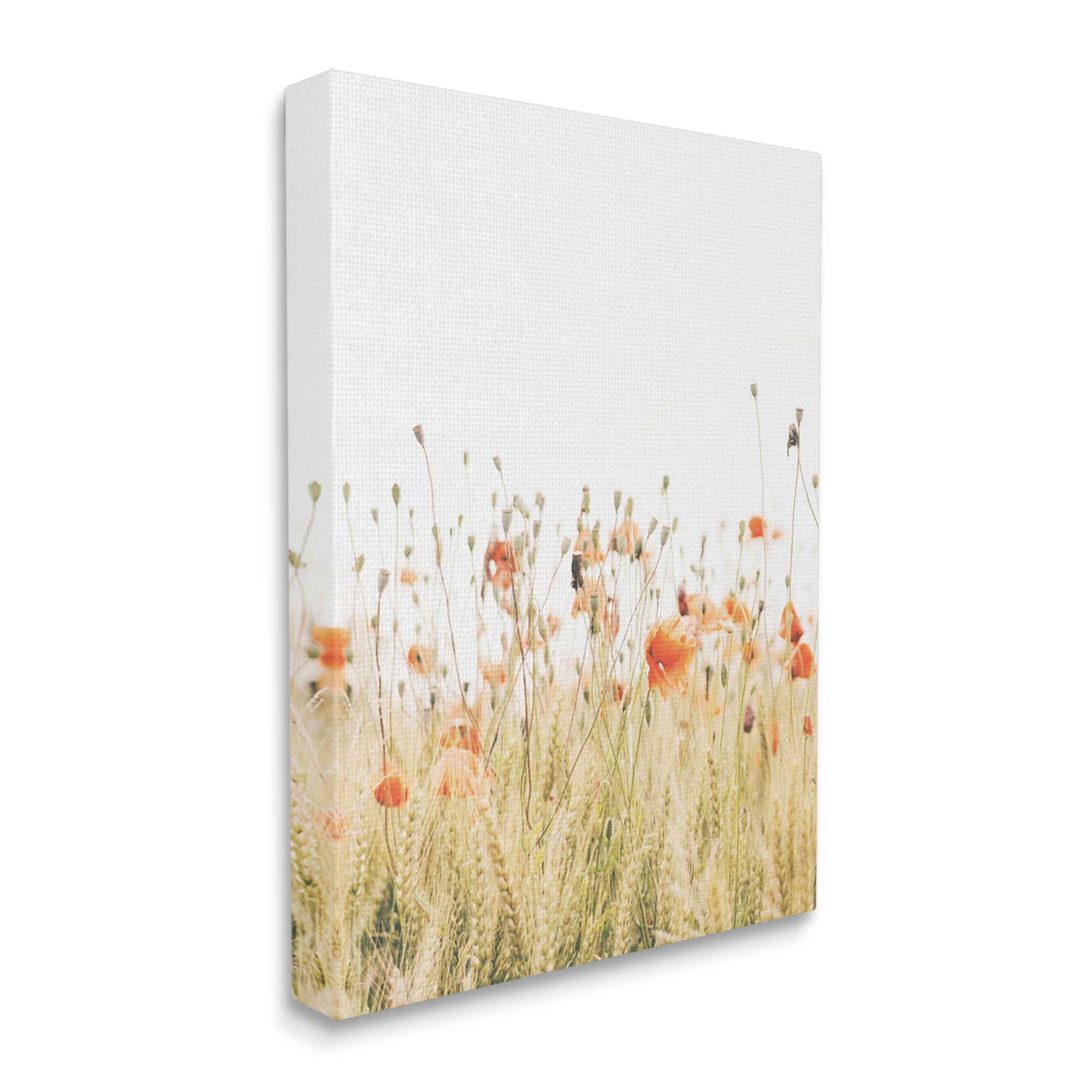 Stupell Industries Poppy Field Photography Botanical & Floral Photography Gallery Wrapped Canvas Art Print Wall Art, 24 x 30