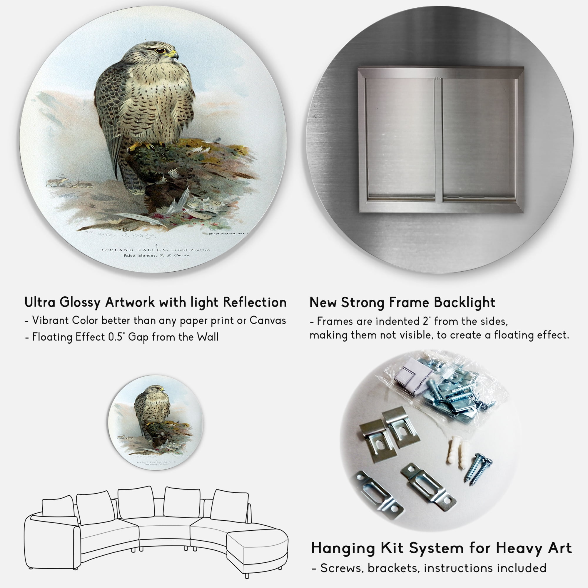 Designart 'Ancient Bird Life V' Traditional Circle Metal Wall Art 11x11 - Disc of 11