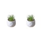 thumbnail image 2 of Bearachild Mini plantas suculentas artificiales, simulación de bonsái, flor falsa con maceta, manualidades en maceta, sala de estar, fiesta en tipo5 2piezas, 2 of 6