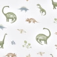 thumbnail image 2 of Aden + Anais Essentials 2-Pack Swaddles - Cotton Muslin - Dino Jungle, 2 of 4