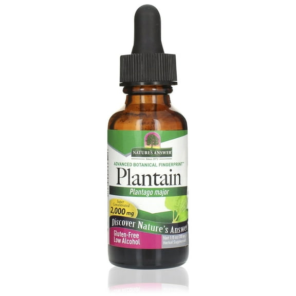 Plantain Leaves 1oz Low Alcohol