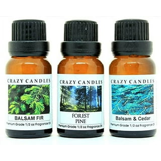 P&J Trading Forest Pine Fragrance Oil - Premium Grade Scented Oil - 10ml 