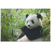 Wellsay Cute Panda Bear Animal Eating Bamboo Leaf in Jungle Forest Woodland Jigsaw Puzzles 500 Pieces Puzzle for Adults Kids DIY Gift