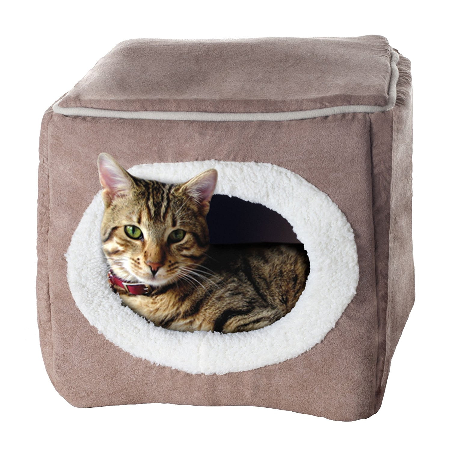 top paw cozy mat