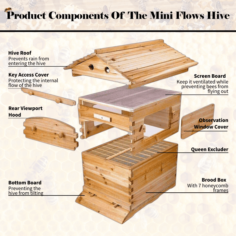 AUSHIVE Bee Hive Self-Flowing Honey Design Cedar Wood