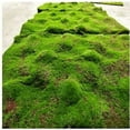 thumbnail image 3 of Simulation moss lawn skin planting simulation turf lawn Moss stone plant Moss simulation plant wall lawn - Loess flat lawn, 3 of 5
