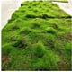 thumbnail image 4 of Simulación de césped de musgo, plantación de piel, simulación de césped, césped, planta de piedra de musgo, planta de simulación de musgo, pared de césped, 4 of 5