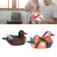 thumbnail image 1 of 2 Pcs Statue de Canard Mandarin Flottant, Sculpture Décorative en Résine pour Jardin Extérieur Étang, 1 of 7