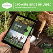 10 Variety Pack Microgreens Seeds - Nutritious Sprouting Vegetables (Annual)
