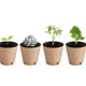 thumbnail image 3 of 50 macetas redondas de turba de pulpa de papel natural, bandejas para plántulas, macetas desechables para viveros y jardinería, 3 of 7