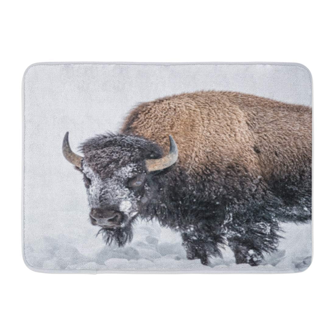JSDART Pink Snow Covered Buffalo in Yellowstone January Bison Bull