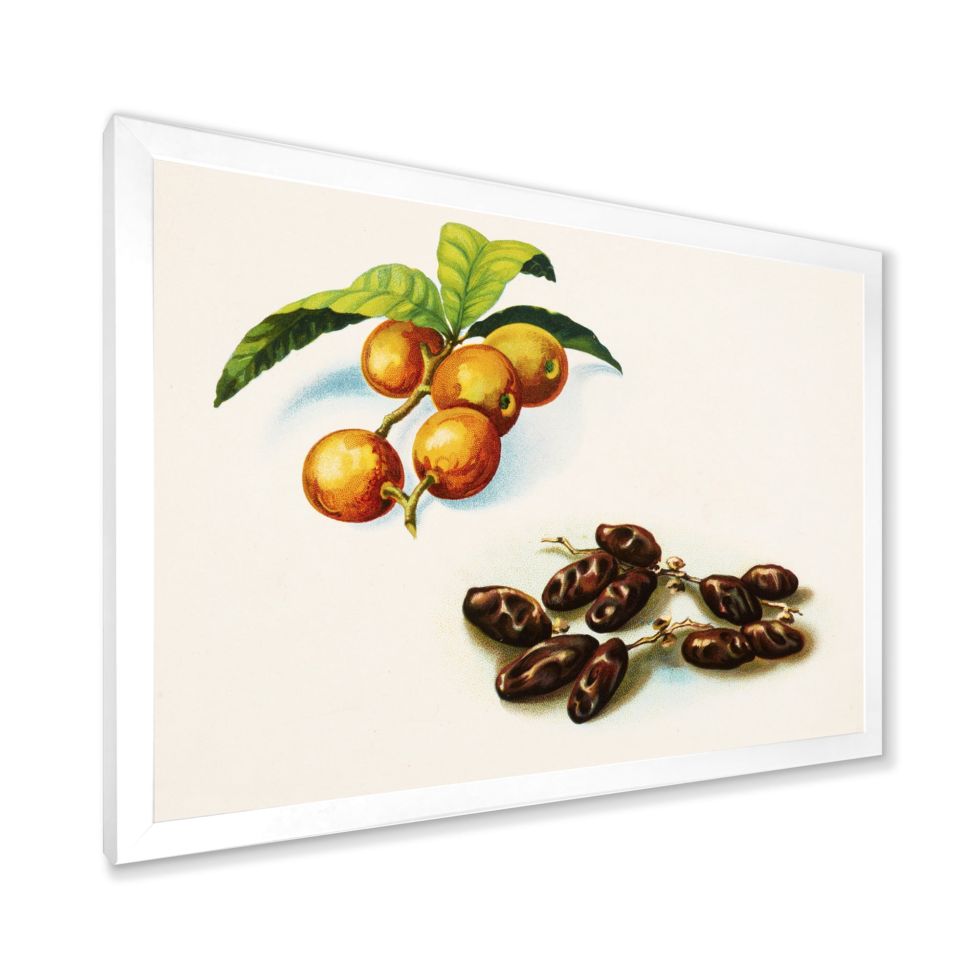 Designart 'Ancient Fruits IV' Farmhouse Framed Art Print