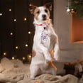 thumbnail image 3 of RKSTN Attaches en Polyester pour Animaux de Compagnie, Attache pour Chats et Chiens, 3 of 5