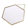 thumbnail image 2 of Necvior Hexagon Floating Hanging Photo Frame Metal Glass Portrait Picture Plant Specimen Display Holder Double Sided, 2 of 9