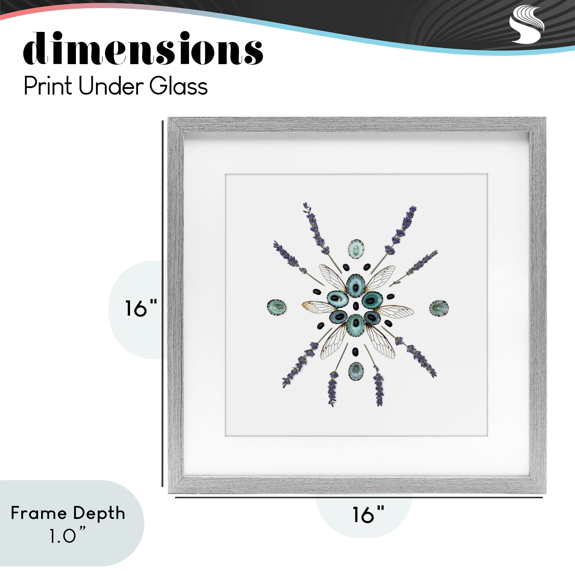 Stupell Industries Lavender & Delicate Wings Gray Framed Print Under Glass, design by Beth Adoette