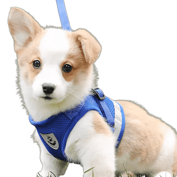 DESIGNICE Dog Harness Vest Harness Design Dog Harness Small Sized Dog Escape-Proof Feature Dog Harness for Small Dogs,Blue,XS