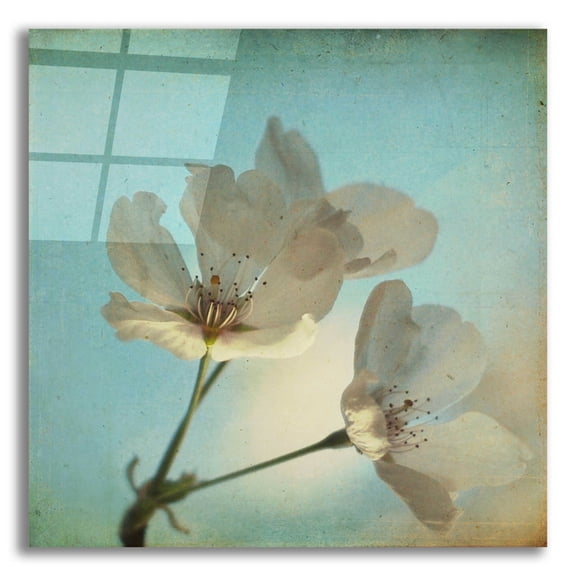 Epic Art 'Spring Sings' by Dawn D Hanna, Acrylic Glass Wall Art, 12"x12"