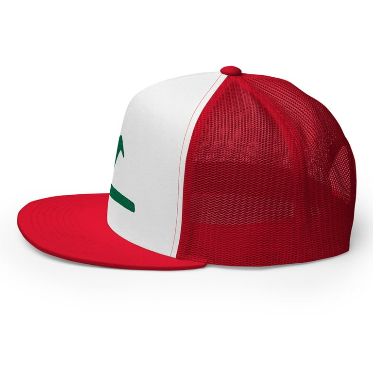 Ash Ketchum Embroidered Cosplay Premium Hat Flat Bill Mesh