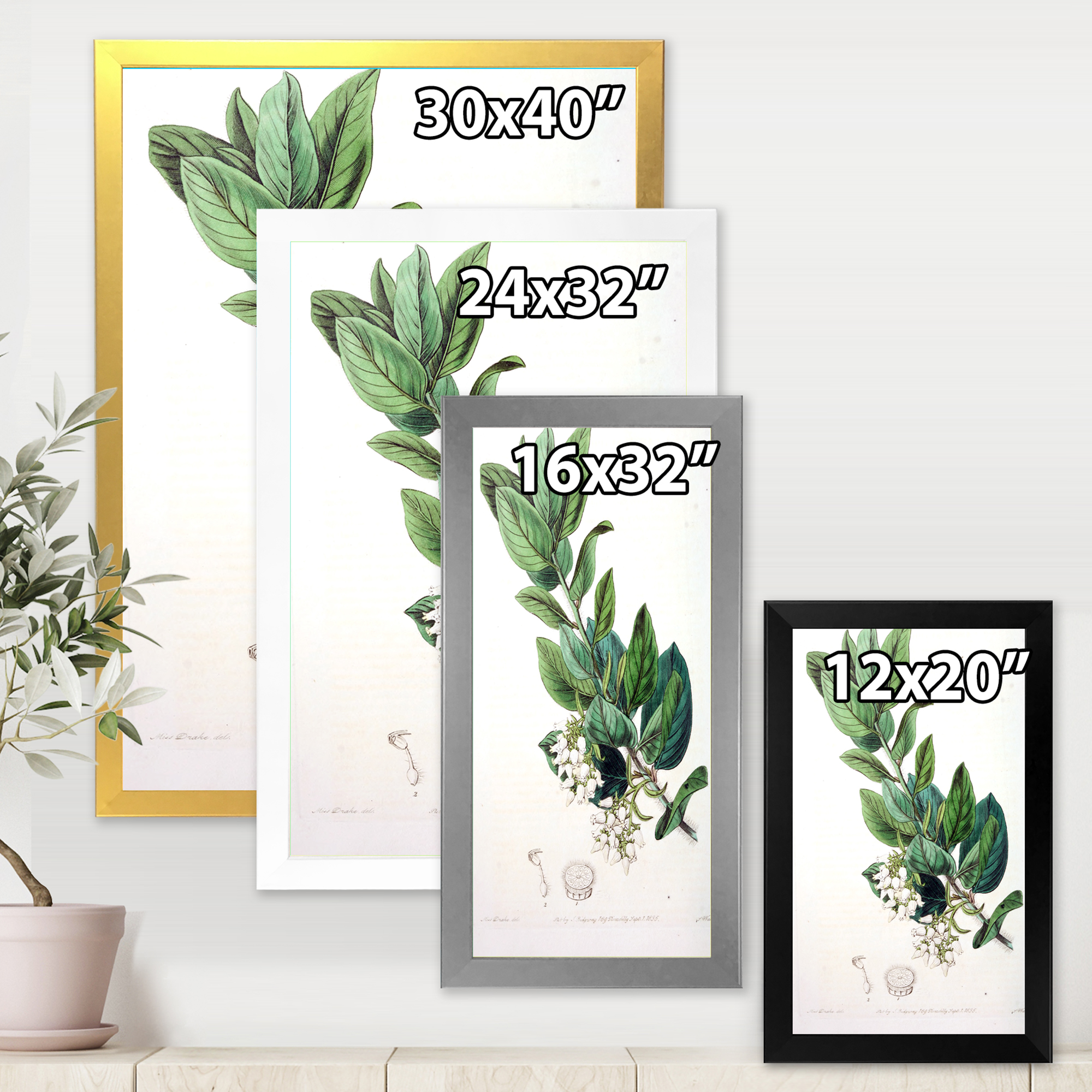 Designart 'Ancient Botanicals XX' Traditional Framed Art Print