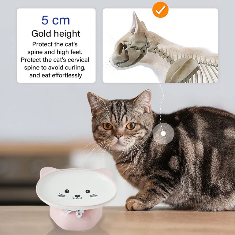 How To Stop Cat Vomiting After Eating