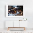 thumbnail image 2 of Untitled - Photography Seafood Marine Life Aquatic Nautical Coastal Kitchen Decor White Framed Wall Art Print 16 x 24 inches, 2 of 3