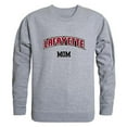thumbnail image 1 of W Republic 564-323-HGY-03 Lafayette College T-Shirt Col Rond pour Femmes Maman, Gris Chiné - Grand, 1 of 1