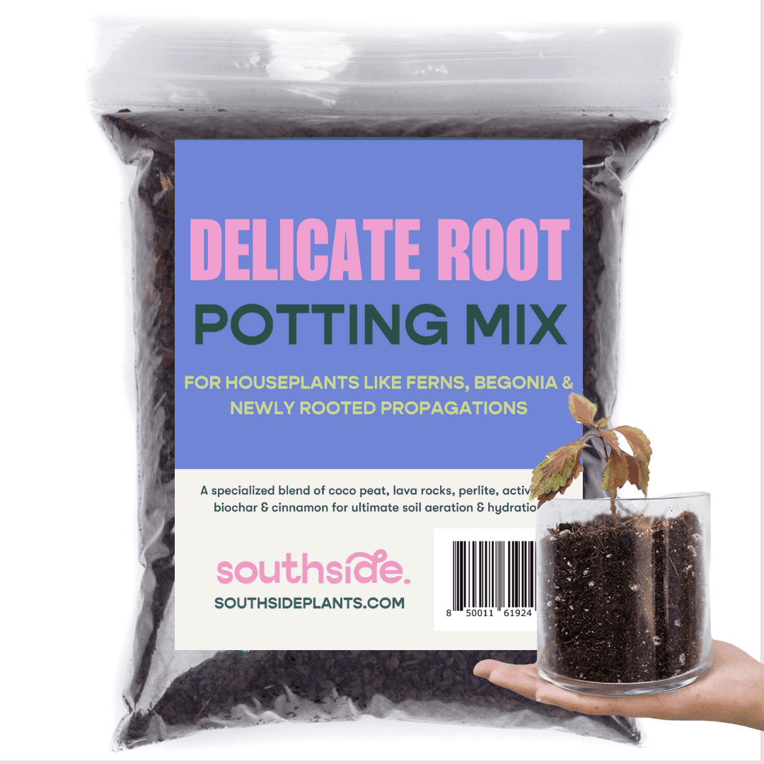 Delicate Root Potting Mix - Organic Mix of Coconut Chips, Coir, Horticultural Charcoal & Chunky Perlite