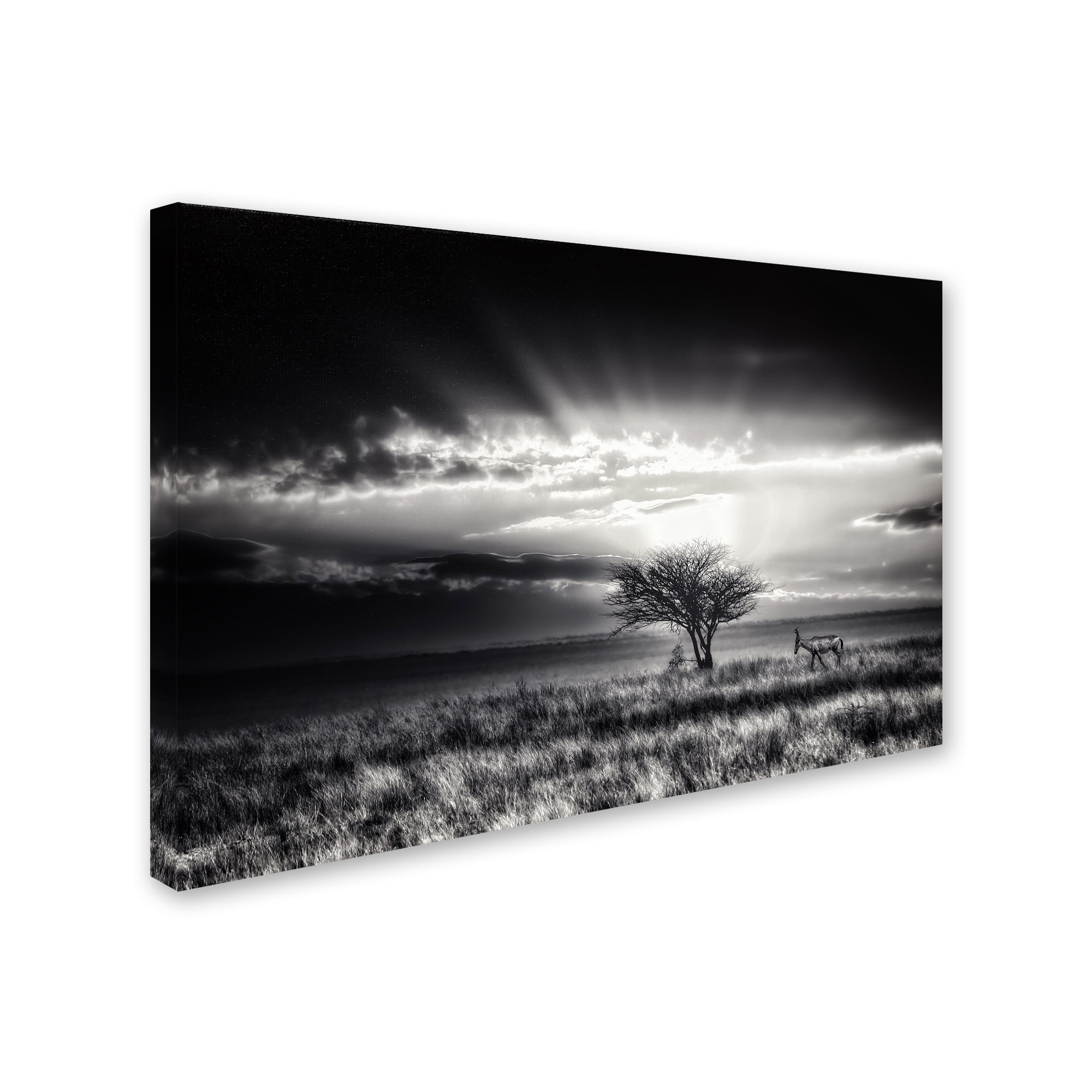 Piet Flour 'Sunrise With Hartebeest' Canvas Art