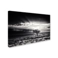 thumbnail image 2 of Piet Flour 'Sunrise With Hartebeest' Canvas Art, 2 of 3