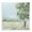 Countryside Landscape Lone Tree, variant on Stupell Industries Contemporary Looming Tree by Field Canvas Art, 17 x 17, by June Erica Vess
