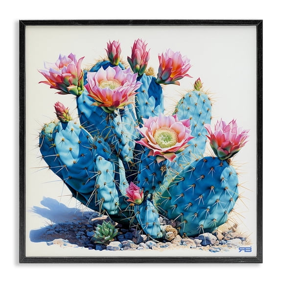 Stupell Industries Contemporary Prickly Cactus Blossoms Black Framed Giclee Art, 12 x 12, by RB