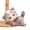 C, variant on Cute Fluffy Animal Pendant Soft Fluffy Baby Face Cat Tiger Rabbit Panda Puppy Key Ring for Backpack Keys Stress Relief Gift Accessory