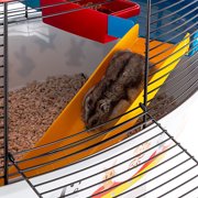 Ferplast Circus Fun Hamster Cage, Includes All Accessories