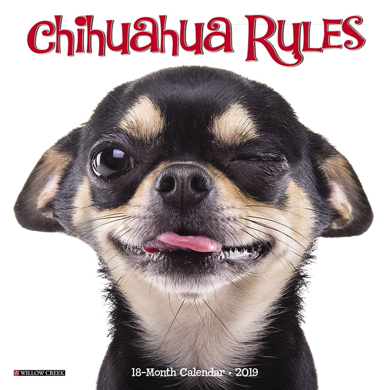 Chihuahua Rules Mini 2019 Wall Calendar (Dog Breed Calendar) (Other