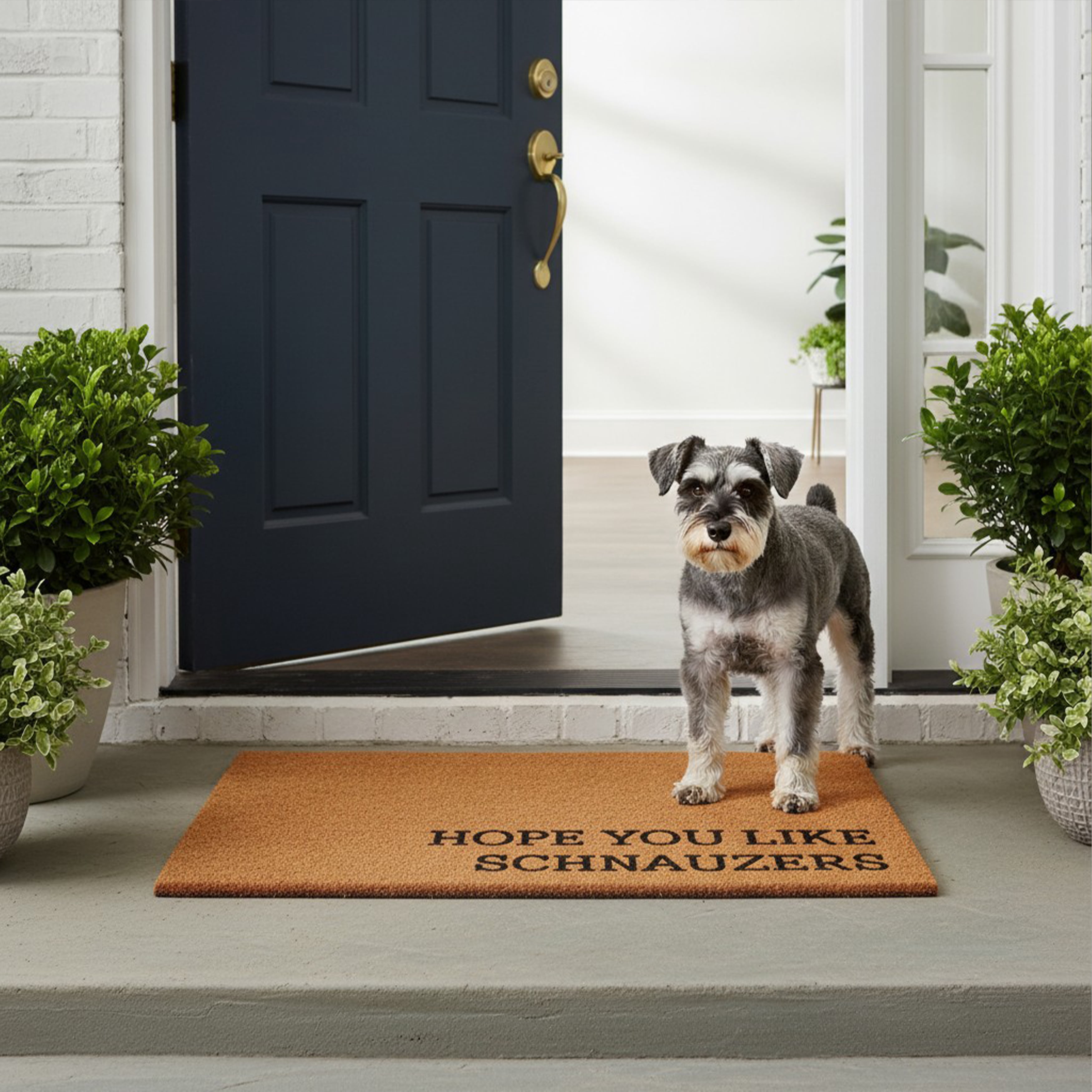 Hope You Like Schnauzers Non Slip Vinyl Backing, Front Doormat, Entryway Doormat, 24"x36"