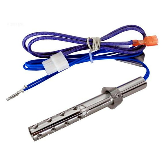 Ignitor Assembly for Pool