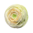 thumbnail image 3 of Clip de ventilación con flores artificiales, adorno único para decoración de interiores de automóviles, mini, reutilizable Verde, 3 of 9