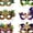 Style B Set, variant on REGALWOVEN 6-Pack Brazilian Carnival Mask, Paper Masquerade Masks for Mardi Gras Party Supplies, Vibrant Rio Costume Style B Set 7.4" x 5"