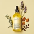 thumbnail image 2 of 3x Carvenchy Natural Hair Growth Oil, Veganic Natural Hair Growth Oil New, 2 of 3