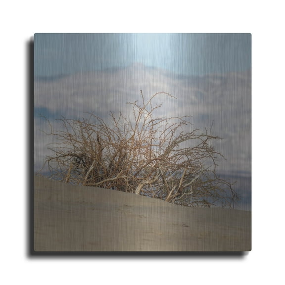 Luxe Metal Art 'Desert Tumbleweed' by Epic Portfolio Metal Wall Art, 36" x 36"