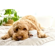 Palmers Cocoa Butter Dog Paw Soothing Balm Moisturize for Dry Skin