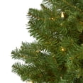 thumbnail image 3 of HomeStock 5Ft. Victorian Elegance Spruce Artificial Christmas Tree With 200 Warm White Lights And 461 Bendable Branches, 3 of 7